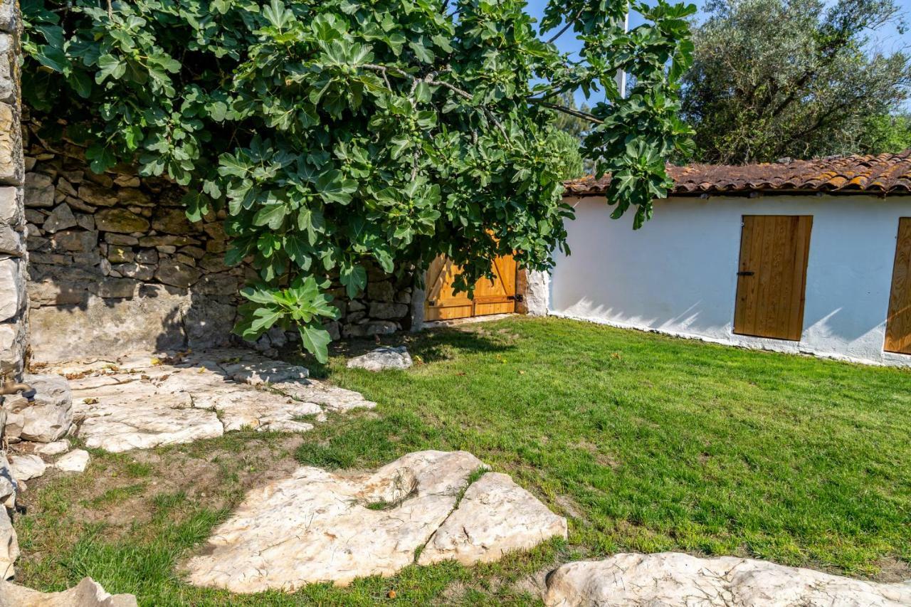 Casal Das Fontainhas Alcobaça Exteriér fotografie